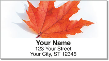 Lovely Leaves Address Labels