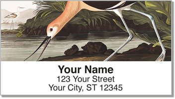 Audubon Sketch Address Labels