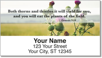 Scripture & Nature Address Labels