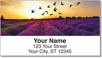 Birds in Flight Address Labels