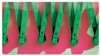 Carpenter's Rule Checkbook Cover