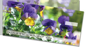 Vivid Violet Side Tear Checks