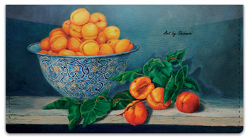 Shahmiri Still Life Checkbook Cover