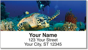 Scuba Diving Address Labels
