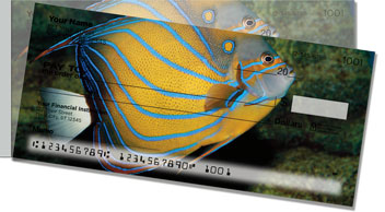 Blue Ring Angelfish Side Tear Checks