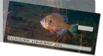 Bluegill Side Tear Checks