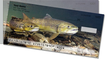 Trout Stream Side Tear Checks