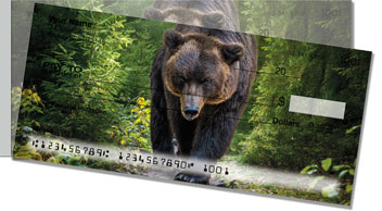 Fuzzy Bear Side Tear Checks
