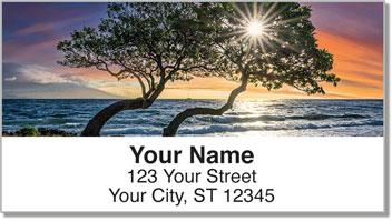 Scenic Sundown Address Labels