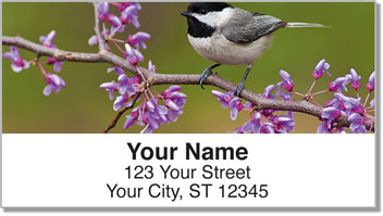 Black-Capped Chickadee Address Labels