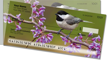 Black-Capped Chickadee Side Tear Checks