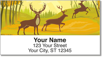 Big Buck Address Labels