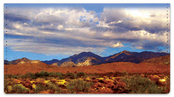 Bulone Desert Checkbook Cover