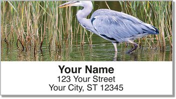 Heron Address Labels