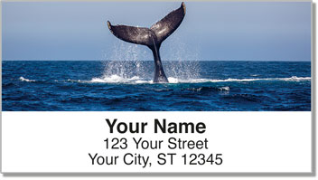 Whale Address Labels