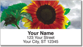 Bulone Bloom Address Labels