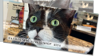 Pet Cat Side Tear Checks
