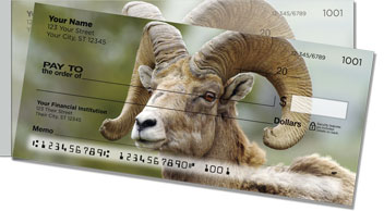 Big Horn Sheep Side Tear Checks