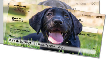 Dog Portrait Side Tear Checks