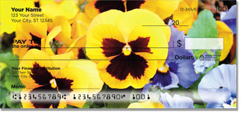 Pansy Checks