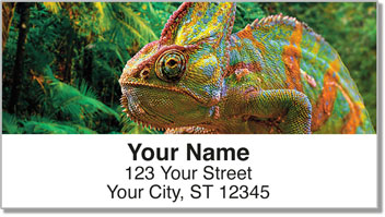 Reptile Address Labels