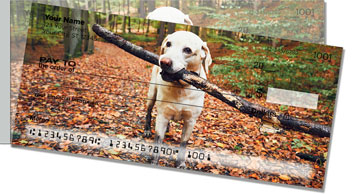 Labrador Side Tear Checks