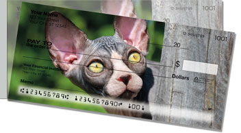 Sphynx Cat Side Tear Checks