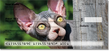 Sphynx Cat Checks