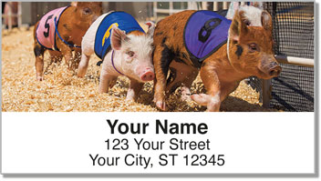 Pig Racing Address Labels