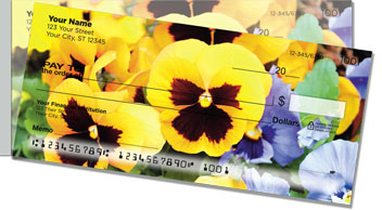 Pansy Side Tear Checks