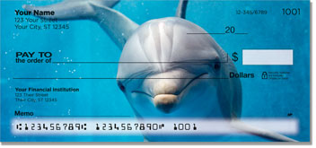 Dolphin Checks