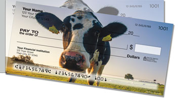 Dairy Cow Side Tear Checks