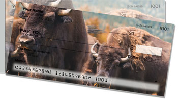 American Bison Side Tear Checks