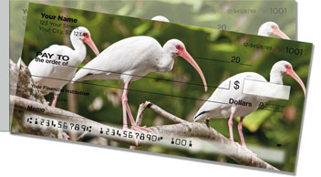 White Ibis Side Tear Checks