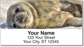 Animals of Antarctica Address Labels