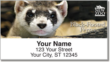 NEW Zoo North American Natives Address Labels