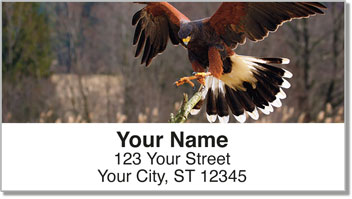 Hawk Address Labels