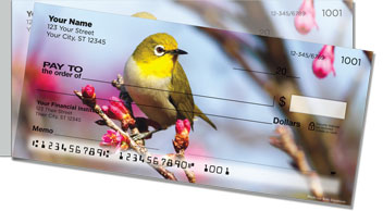 Backyard Bird Side Tear Checks