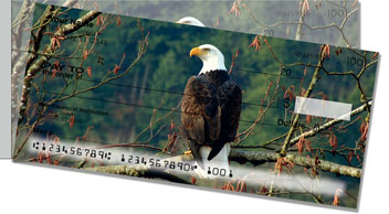 Bald Eagle Side Tear Checks