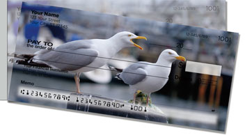 Seagull Side Tear Checks