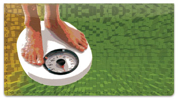 Weight Loss Checkbook Cover