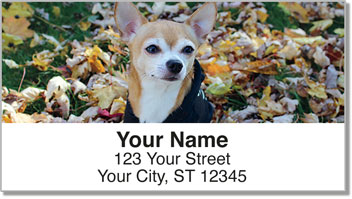 Chihuahua Address Labels