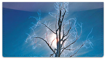Tree Light Checkbook Cover