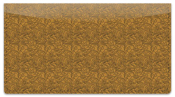 Topographic Checkbook Cover