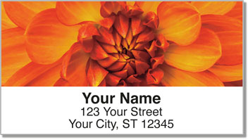 Orange Flower Address Labels