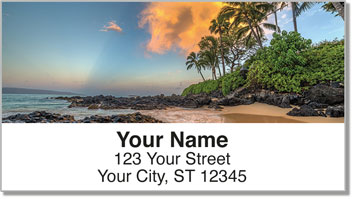 Palm Tree Address Labels