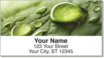 Natural Detail Address Labels