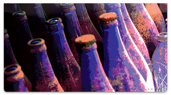 Soda Bottle Checkbook Cover