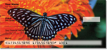 Butterfly & Moth Checks