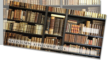 On the Bookshelf Side Tear Checks